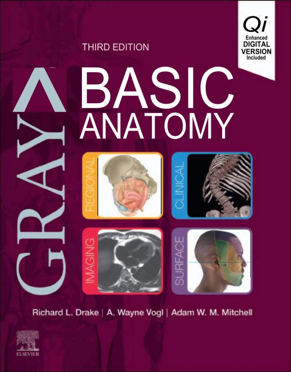Cover of Gray's Basic Anatomy,3rd ed