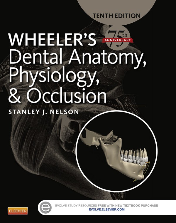 Cover of Wheeler's Dental Anatomy, Physiology and Occlusion