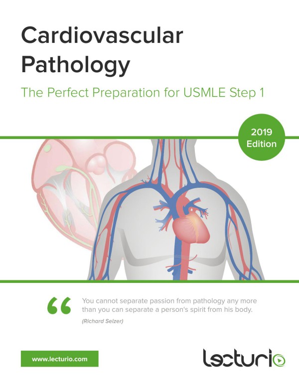 Cover of Cardiovascular Pathology The Perfect Preparation for USMLE Step 1