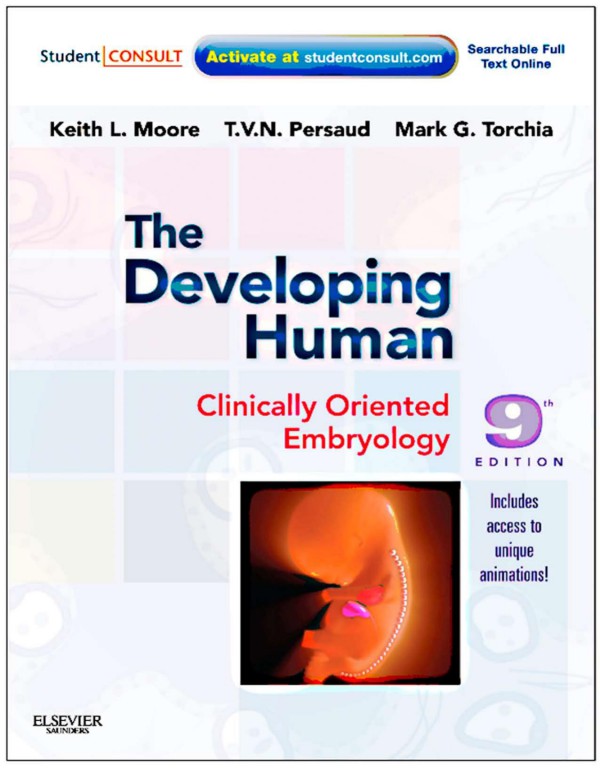 Cover of The Developing Human Clinically Oriented Embryology,9th ed
