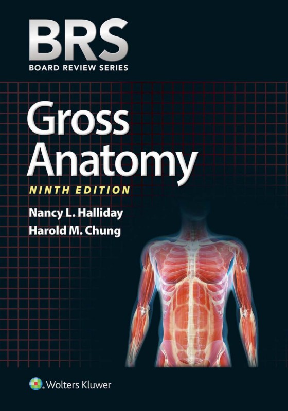 Cover of BRS Gross Anatomy,9th ed